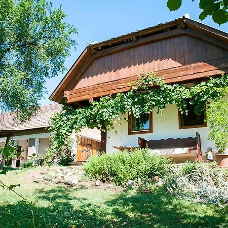 Fecskefészek Vendégház Őriszentpéter Oriszentpéter Exterior foto