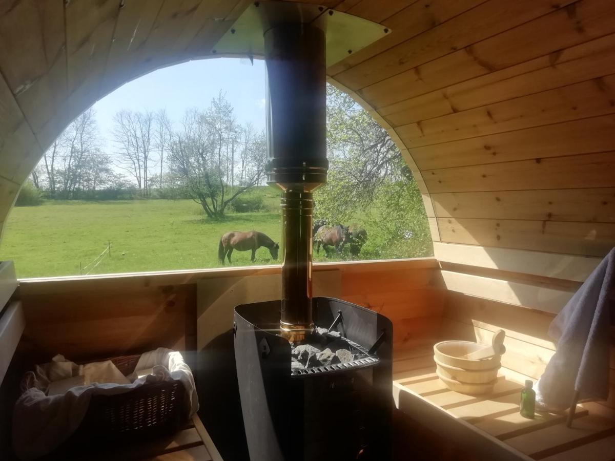 Fecskefészek Vendégház Őriszentpéter Oriszentpéter Exterior foto