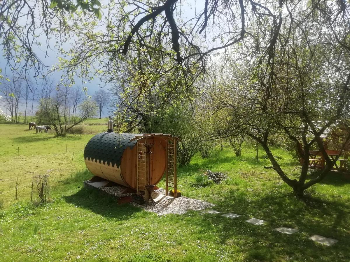 Fecskefészek Vendégház Őriszentpéter Oriszentpéter Exterior foto