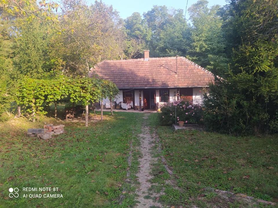 Fecskefészek Vendégház Őriszentpéter Oriszentpéter Exterior foto
