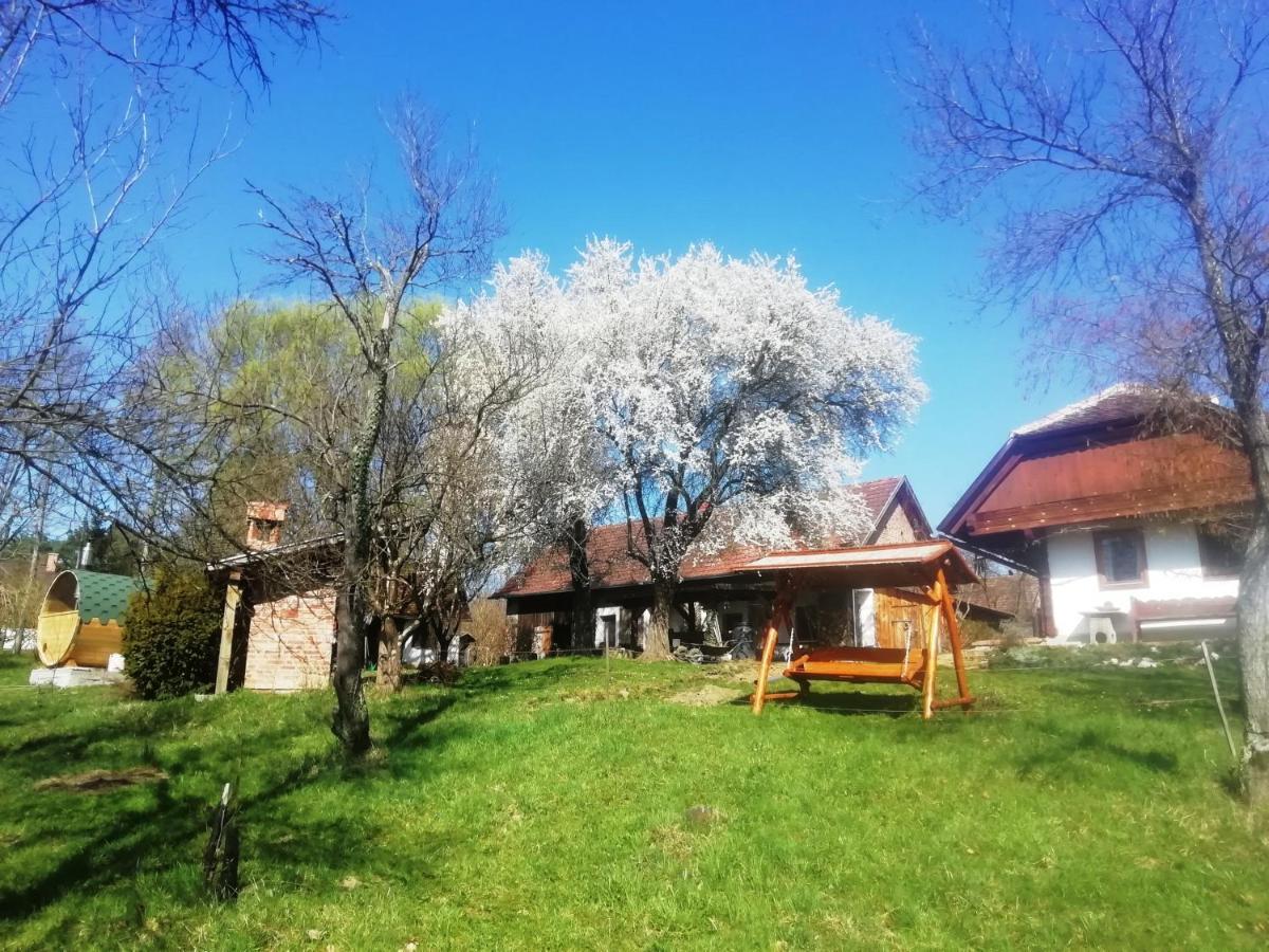 Fecskefészek Vendégház Őriszentpéter Oriszentpéter Exterior foto