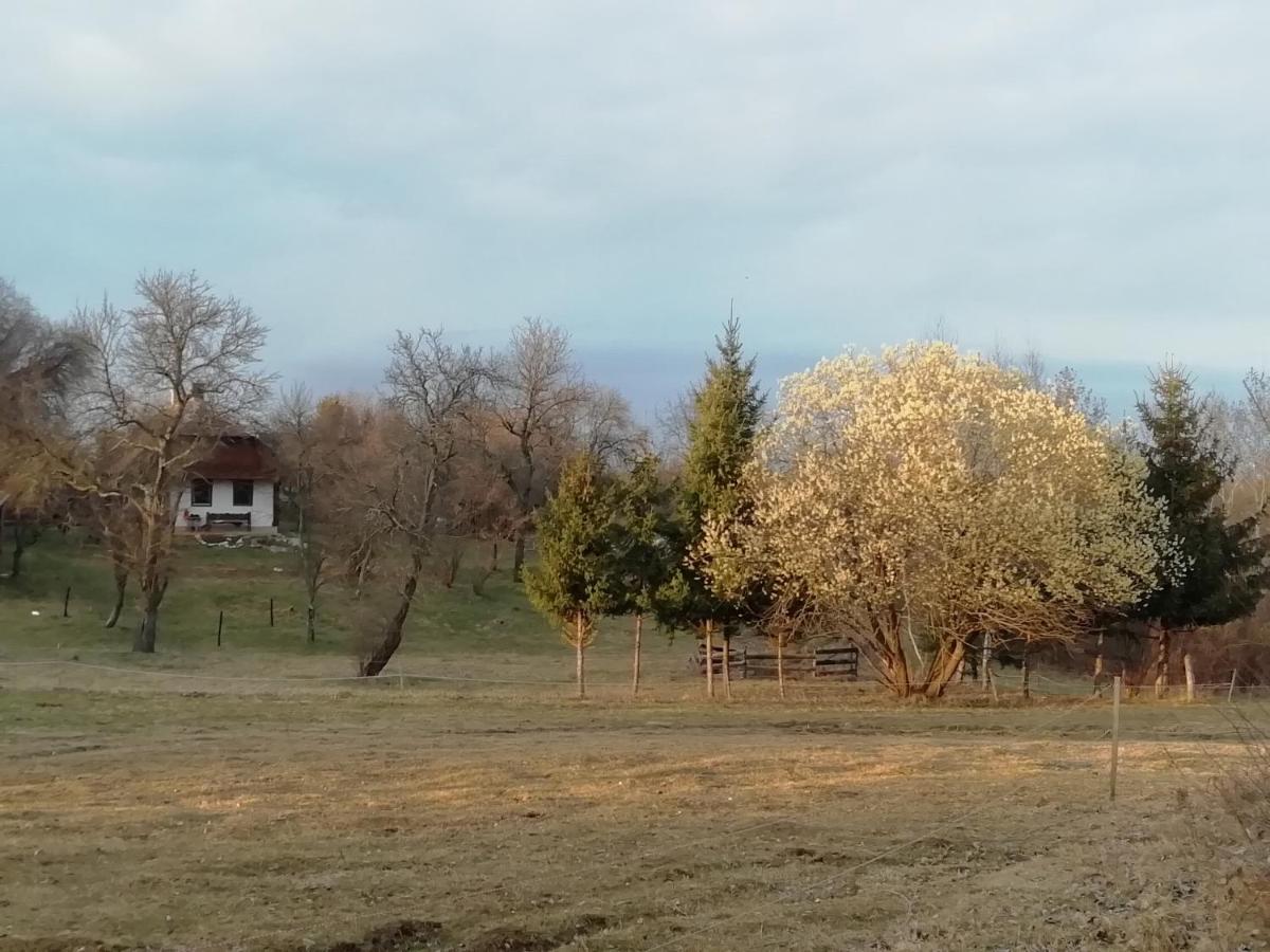 Fecskefészek Vendégház Őriszentpéter Oriszentpéter Exterior foto