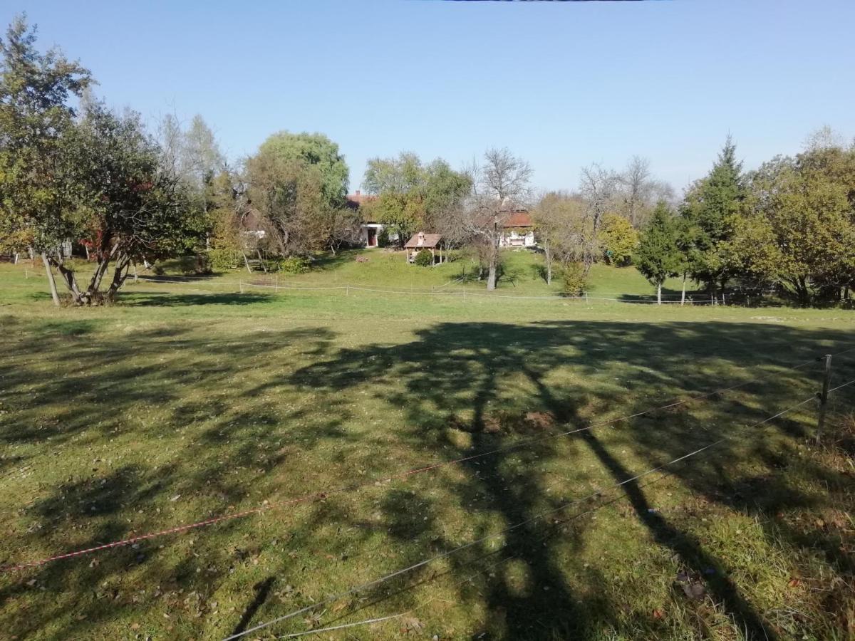 Fecskefészek Vendégház Őriszentpéter Oriszentpéter Exterior foto