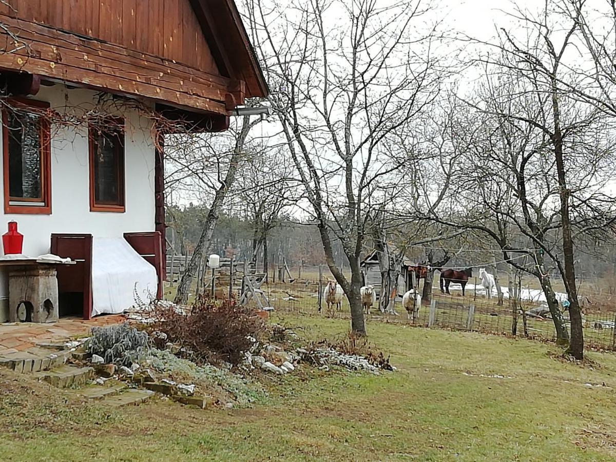 Fecskefészek Vendégház Őriszentpéter Oriszentpéter Exterior foto