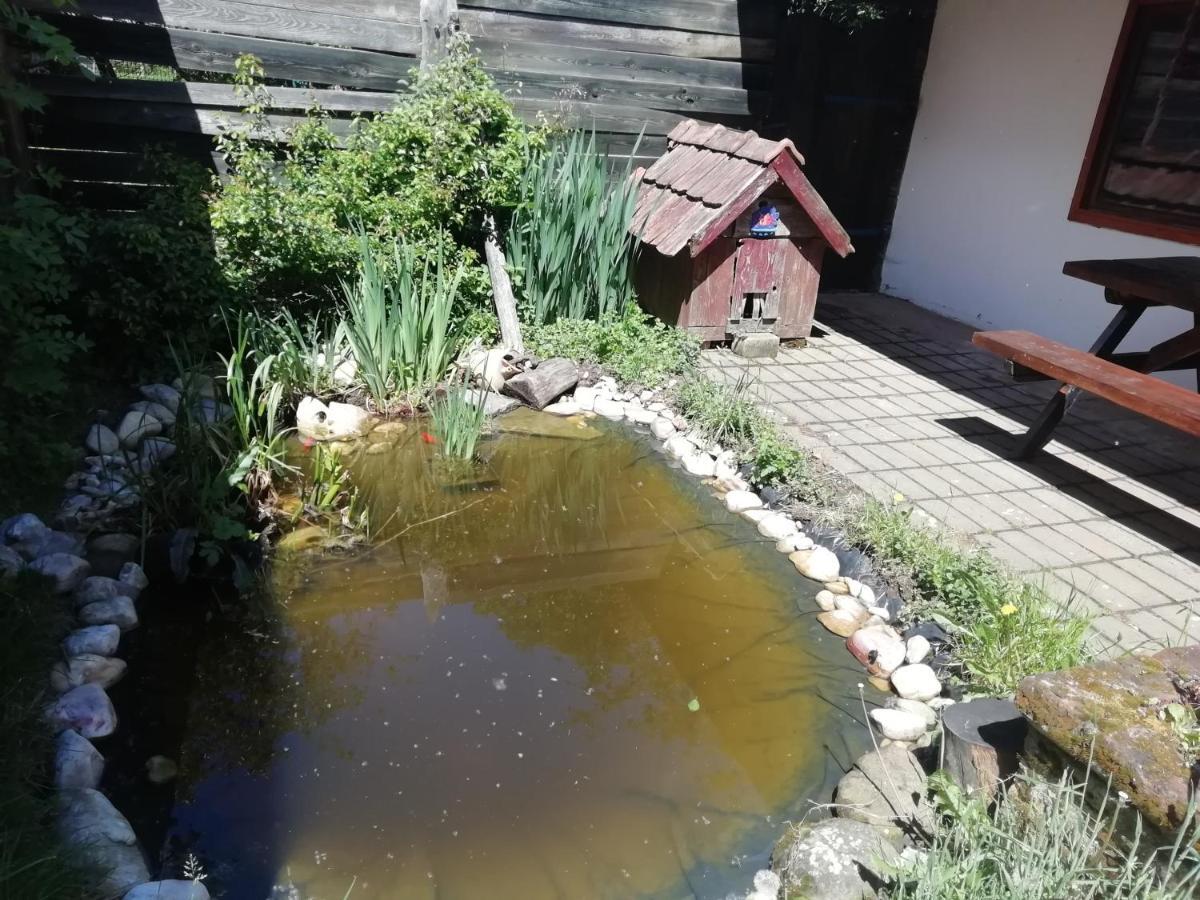 Fecskefészek Vendégház Őriszentpéter Oriszentpéter Exterior foto